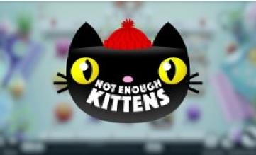 not enough kittens slot