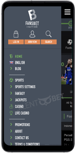 FansBet Mobile Review