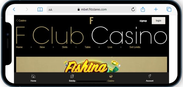 fitzdares casino mobile